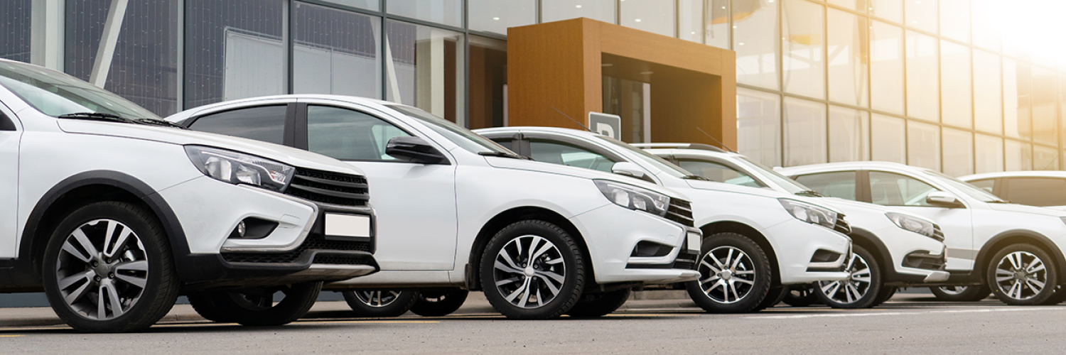 Six white cars are parked in front of a dealership