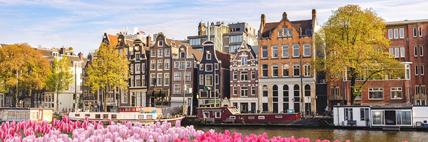 A view of building in Amsterdam besides water. In the front are tulips of different shades of pink