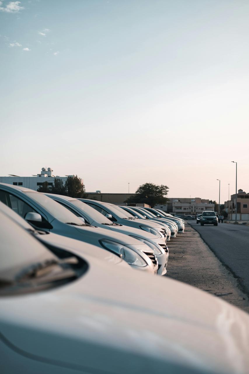 parked cars a dozen of cars are parked in line, the view of the picture is from the hood of the first car in line